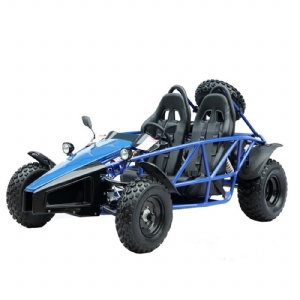 go karts buggy 150cc with two seat