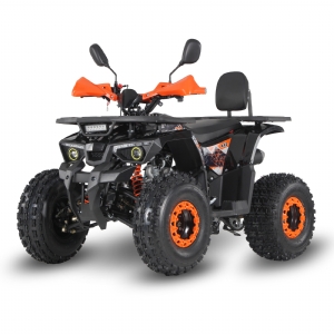 110CC ATV QUADS BIKE SL125X