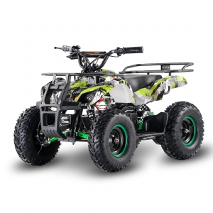 MINI ELECTRIC 800W BUSH MOTO ATV MLE800G