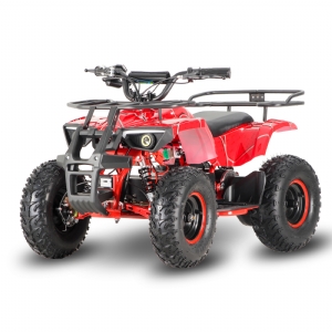 MINI ELECTRIC 36V 800W ATV MLE800X